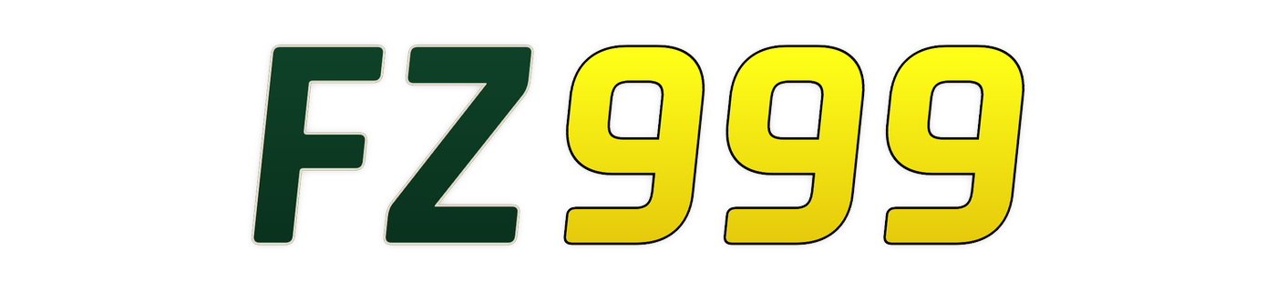 fz999 লোগো